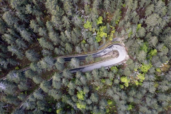 Road leads through forest, serpentines, aerial view, Corsica, France
