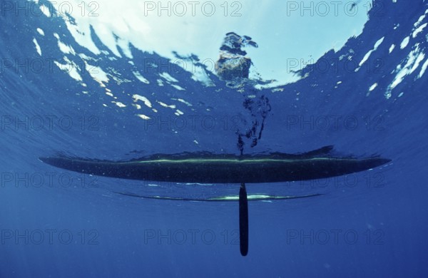 Outrigger boat, Papua New Guinea, New Ireland, Kavieng