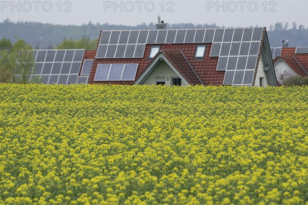 Flowering rape field near Bibersfeld, agriculture, spring, April, solar roof, photovoltaics, alternative energies, renewable energies, solar energy, solar energy, Schwäbisch-Franconian Wald nature park Park, Schwäbisch Hall, Hohenlohe, Germany