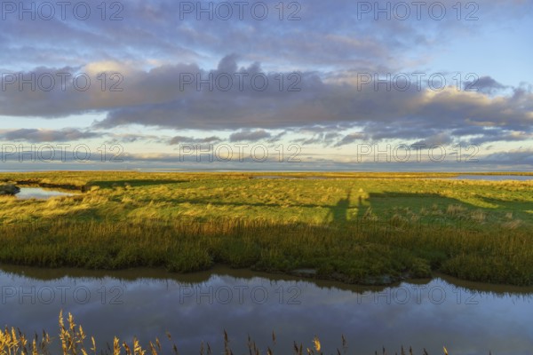 Wide green meadow with clouds and sunlight, shadow on the ground, quiet nature atmosphere, wangerooge, east frisia, germany