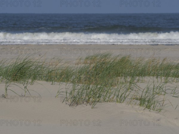 Beach with sand dunes and grass, breaking waves and blue sky in the background, juist, east frisia, germany