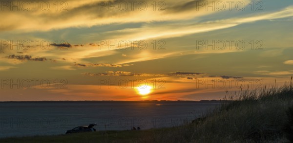 Panorama, sunset, dunes on Sønderstrand, Rømø, Denmark