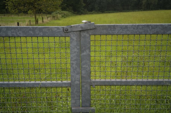 Metal gate for a paddock