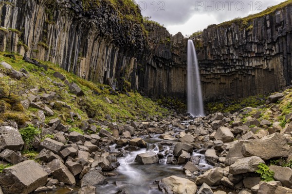 Svartifoss, Skaftafell NP, south coast, Iceland