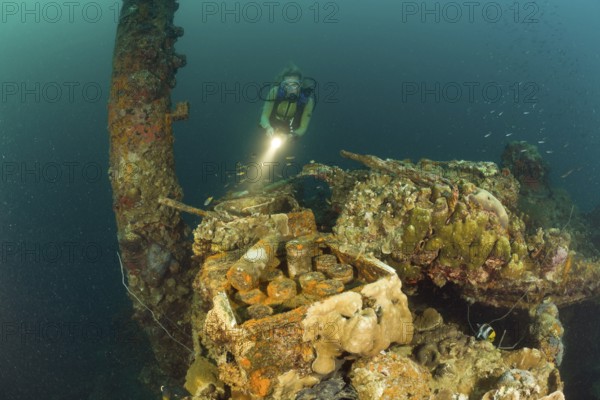 Diver finds live ammunition from World War 2 on Japanese warship Helmet Wreck, Micronesia, Palau