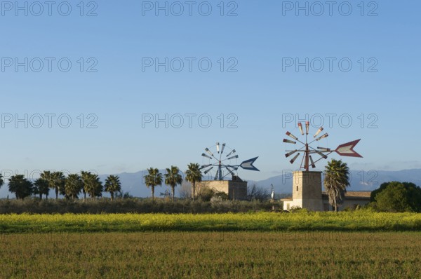 Wind turbines near Sa Pobla, Majorca, Balearic Islands, Spain