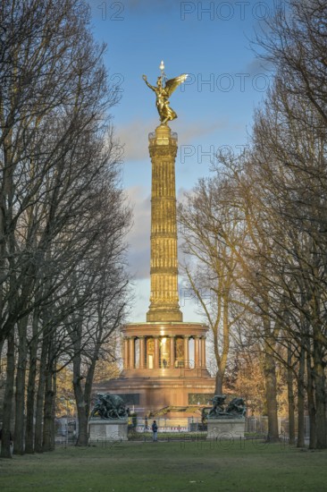 Großer Tiergarten, Fasanerieallee, Siegessäule, Großer Stern, Tiergarten, Mitte, Berlin, Germany