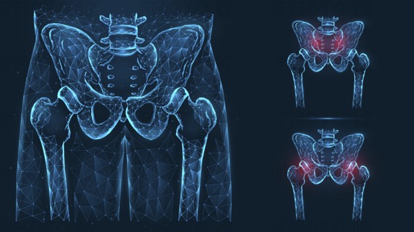 Bones of the pelvis and hip, human anatomy. Pelvic and hip injuries. X ray of the hip joint made of lines and dots isolated on blue background