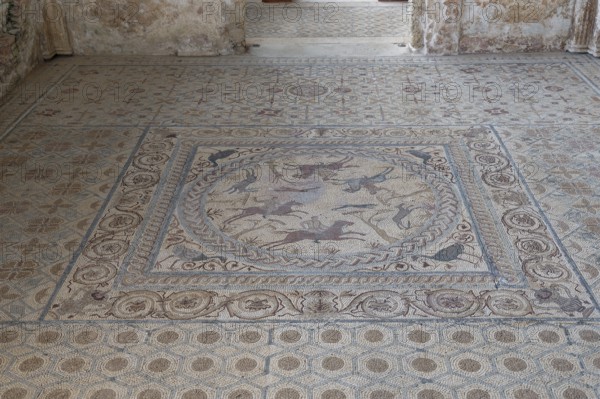 Floor mosaic, House of Fountains, Roman ruins, Conimbriga, Condeixa-a-Velha, Condeixa-a-Velha, Coimbra, Portugal