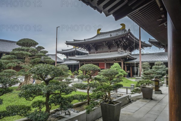 Maitreya Hall, Chi Lin Nunnery, Sheung Yuen, Hong Kong, People's Republic of China