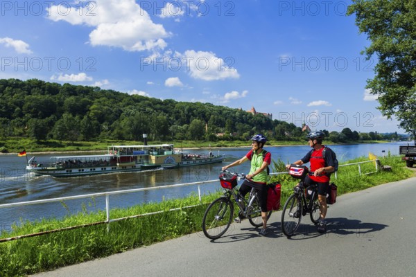 Elbe Cycle Route in Pirna