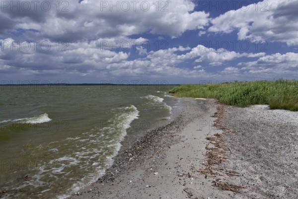 On the Achterwasser on the Gnitz peninsula, Usedom Island, Germany