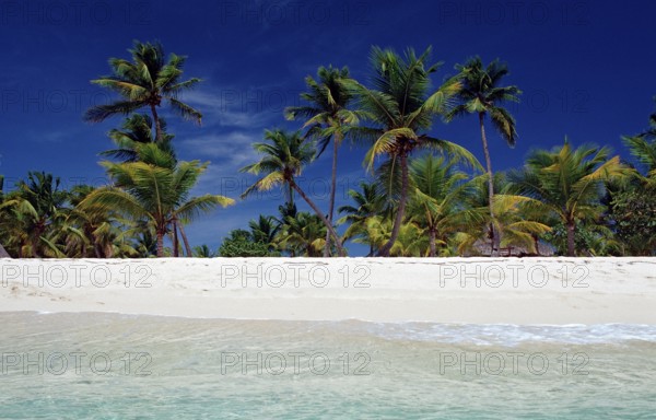 Sandy beach beach, Punta Cana, Caribbean, Dominican Republic