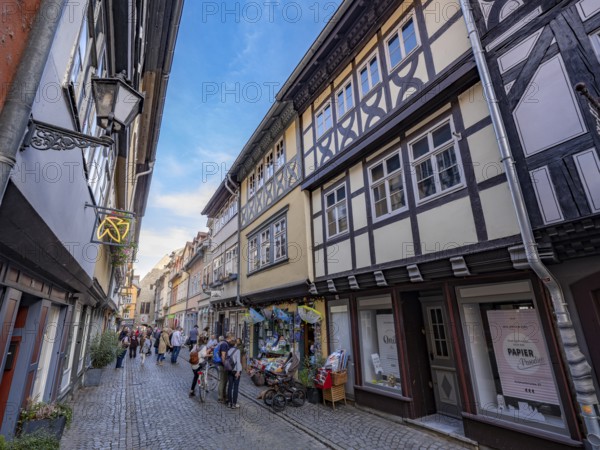 Commercial buildings on the Krämerbrücke over the Gera, Erfurt, Thuringia, Germany