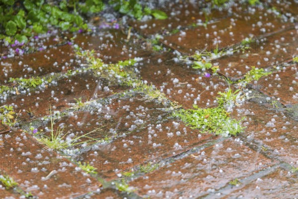 Storm over Bannewitz Hailstones on brick pavement, Bannewitz, Saxony, Germany