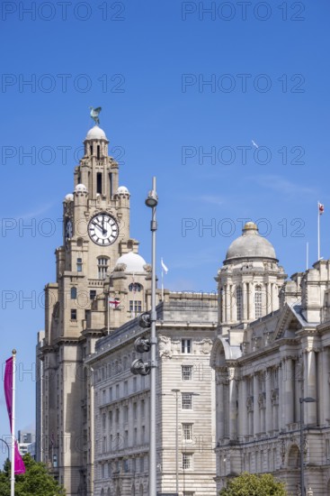 LIVERPOOL, UK - JULY 14 : The Royal Liver building with a clock tower in Liverpool, England on July 14, 2021