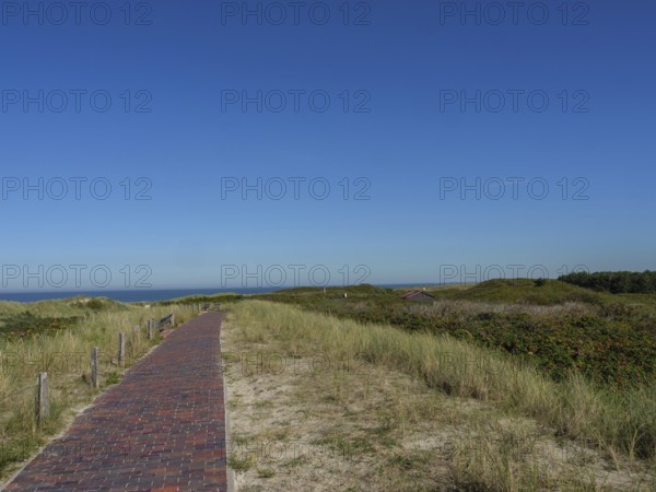 A cobbled path leads through the dune landscape with grassy vegetation under a sunny, blue sky, langeoog, germany