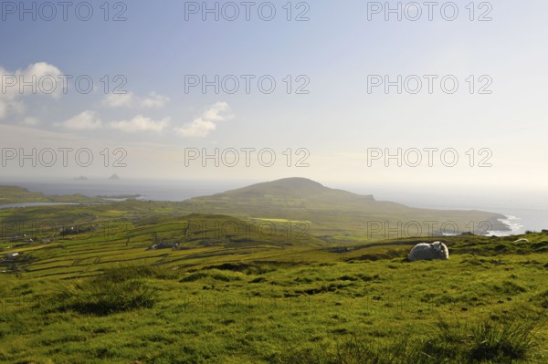 View from Geokaun Mountain, County Kerry, Ireland, Valentia Island