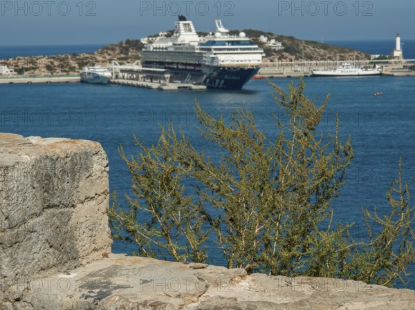 Large cruise ship in harbour with coast and trees under blue sky, ibiza, mediterranean sea, spain