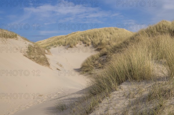 Scenic view of sand dunes covered with dry grass under blue sky