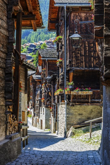Old wooden houses in log construction, decorated with flowers, village street, historic village centre, Grimentz, Val d'Anniviers, Valais Alps, Canton Valais, Switzerland