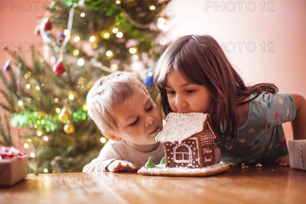 Cute children nibbling a gingerbread cookie house at christmas time