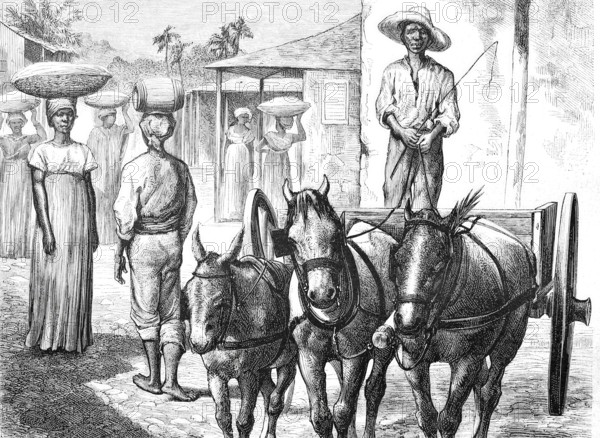 Women from the countryside, water carriers, cabronet, coachmen, around 1888 on the island of Haiti, Historical, digitally enhanced reproduction of a 19th century model