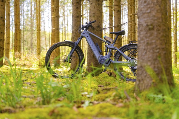 An e-bike stands on soft mossy ground in the dense, peaceful forest, e-bike excursion, Gechingen, district of Calw, Germany