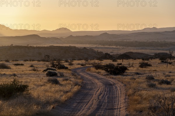Sandy track, desert landscape in the evening light at sunset, backlit, Brandberg, Erongo, Damaraland, Namibia