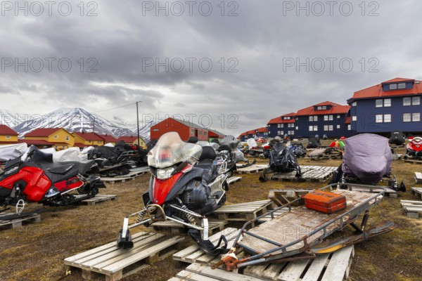 Sikdoos in front of coloured wooden houses, Longyearbyen, Spitsbergen, Svalbard
