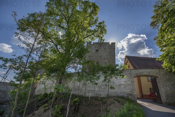 Burgnauer with watchtower of Lengenfeld Castle, dating from the 12th century, Burglengenfeld, Upper Palatinate, Bavaria, Germany