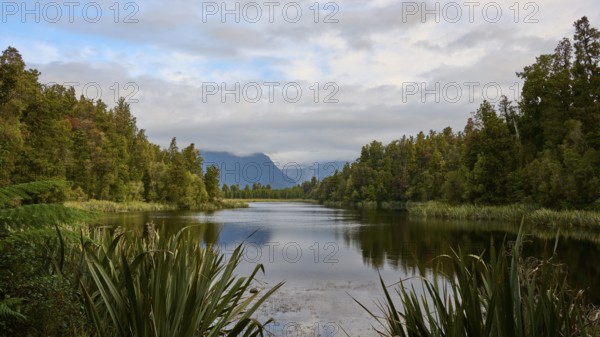 A tranquil lake surrounded by lush vegetation and mountains, with a slightly cloudy sky, summer, Lake Matheson, Fox Glacier, South Island, New Zealand