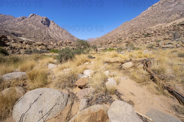 Tsisab Gorge, White Lady Trail, desert landscape with mountains, Brandberg, Erongo, Damaraland, Namibia