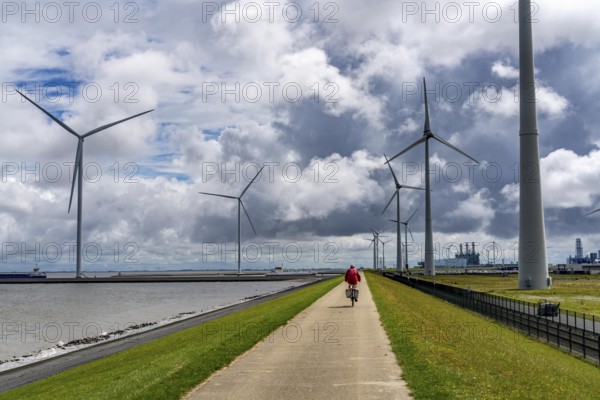 Strekdammen Wind Farm, wind farm at the seaport of Eemshaven in the Netherlands, left, built on offshore breakwaters, 2 GE Cypress 5, 5 MW turbines, with 158 metre blade diameter, together produce 11 MW of power, can supply 15, 500 households with electricity from wind, cumulus cloud over the North Sea, Netherlands