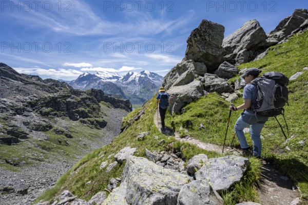 Mountaineer on hiking trail in mountain landscape, descent at Col du Louvie, view of the summit of the Grand Combine, Valais Alps, Val de Bagnes, Valais, Switzerland