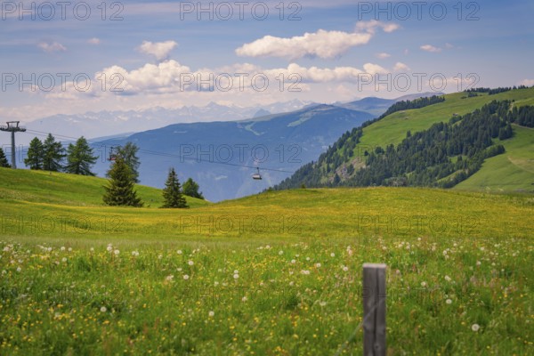 Cable car runs across a flowering meadow with a mountain panorama in the distance, Alpe di Siusi, Dolomites, South Tyrol, Italy