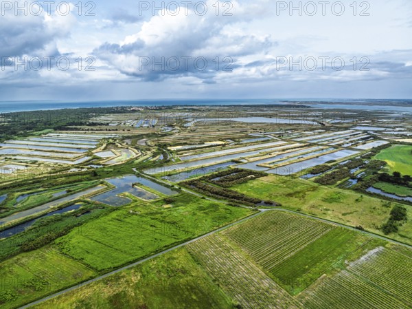 The Lilleau des Niges National Nature Reserve from a drone, The salt marshes, Saint-Clement-des-Baleines, Atlantic, France