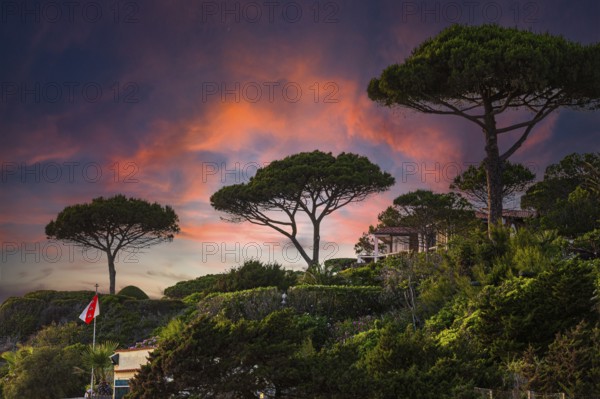 Sunset above Stecci beach, near Capoliveri, Elba Island, Tuscan Archipelago National Park, Tuscany, Italy