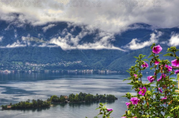 Alpine Lake Maggiore with Brissago Island and Mountain with Rainy Clouds and Beautiful Flowers in Brissago, Ticino, Switzerland