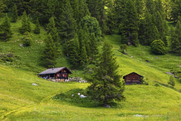 Alpine huts on a green meadow slope, Zinal Valley, Val d'Anniviers, Valais Alps, Canton Valais, Switzerland