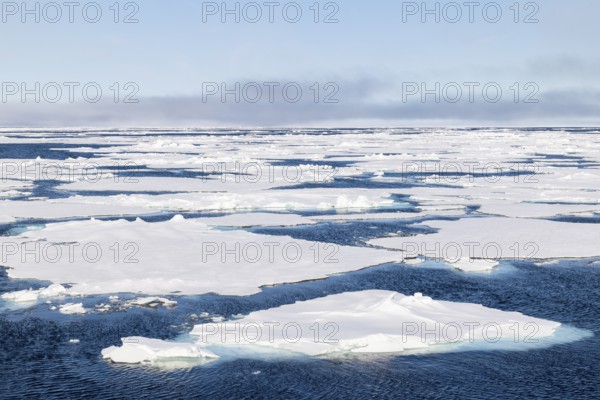 Teibeis, sea ice, ice edge, 82nd parallel, Spitsbergen, Svalbard