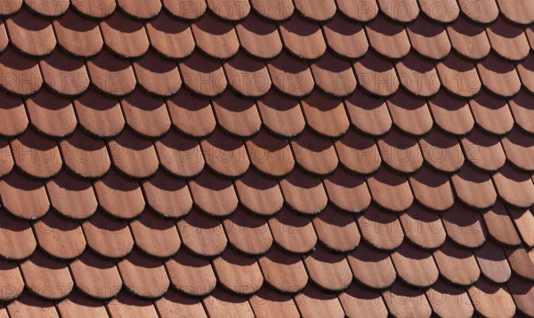 Red shingle roof, house roof, detail, Steyr, Upper Austria, Austria