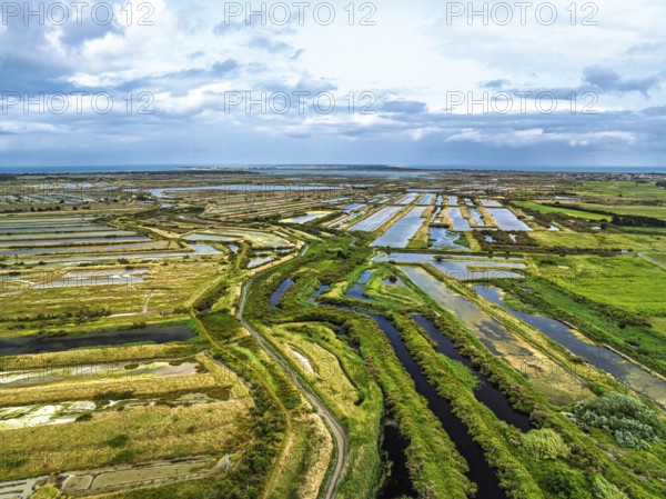 The Lilleau des Niges National Nature Reserve from a drone, The salt marshes, Saint-Clement-des-Baleines, Atlantic, France