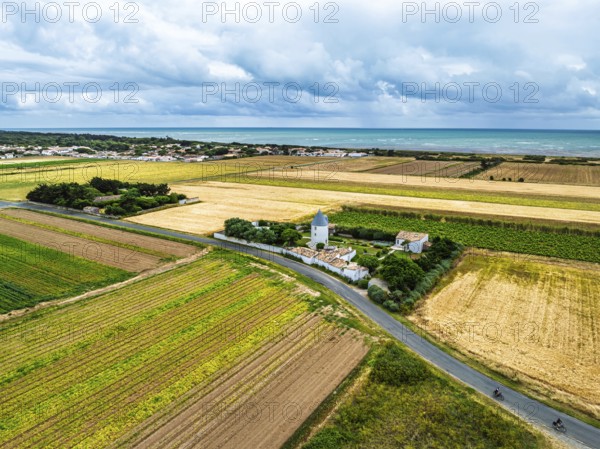 Fields and Grape plantations from a drone, Saint-Clement-des-Baleines, Atlantic, France