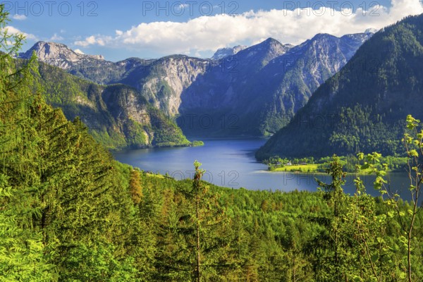 Panoramic view of the lake and the Dachstein foothills, Bad Goisern, Lake Hallstatt, UNESCO World Heritage Site, Salzkammergut, Upper Austria, Austria