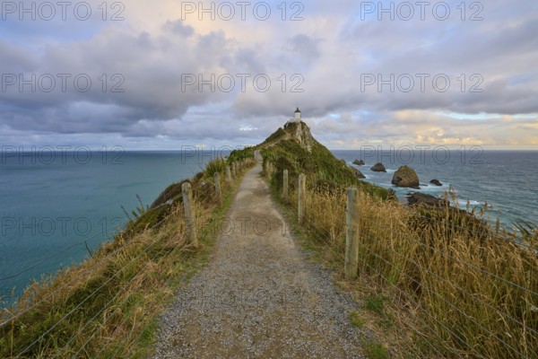 A path leads to a lighthouse on a rocky cliff by the sea, summer, Nugget Point Lighthouse, Ahuriri Flat, Otago, South Island, New Zealand