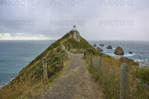 A lighthouse perched on a hill above the rugged coastline, surrounded by a narrow path, summer, Nugget Point Lighthouse, Ahuriri Flat, Otago, South Island, New Zealand