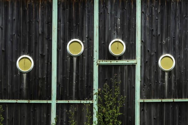 Wooden wall with dark finish showcases four circular cutouts revealing bright yellow interiors, complemented by green foliage at the base in an urban environment. France