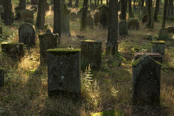 Weathered gravestones at the Jewish cemetery next to the Mehlinger Heide. Mehlingen, Rhineland-Palatinate, Germany