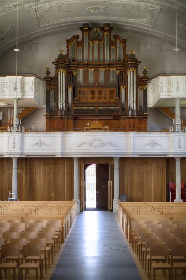 Innenaufnahme, Langhaus, Orgel der 2025 renovierten Pfarrkirche St. Stephan, Kirche St. Stefan, Sempach, Kanton Luzern, Schweiz